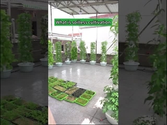 정원 실내 농업 꽃잎 수경 재배 타워