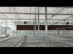 메시 철사 온실은 씨뿌리기를 위한 테이블 회전 벤치를 성장합니다