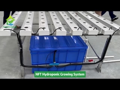 수직 농업 무토양 재배 수경 NFT 사각 파이프 시스템 시스템