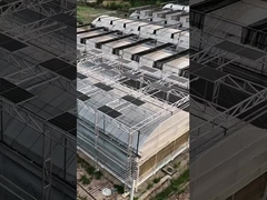 현대식 지능형 Venlo 폴리카보네이트 패널 다중 범위 태양광 발전 온실