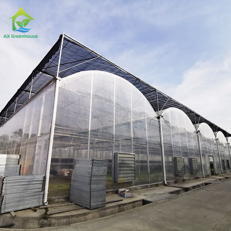 자외선 저항성 30x10m 플라스틱 필름 온실