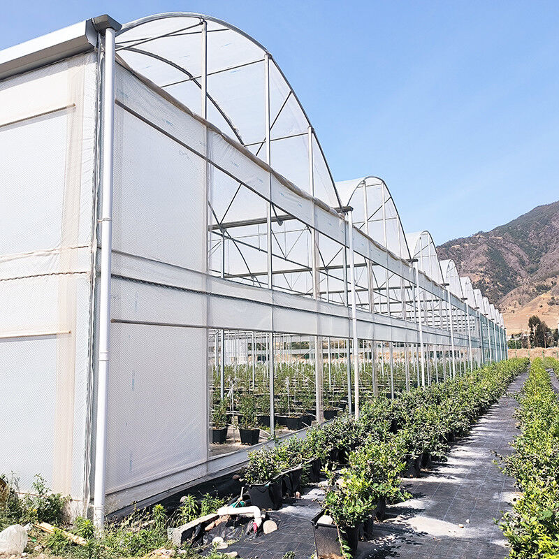 자외선 저항성 30x10m 플라스틱 필름 온실