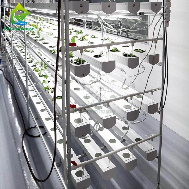 토양 없는 재배를 위한 통합 LED 조명 시스템을 갖춘 자동화된 다층 수직 NFT 수경재배 시스템