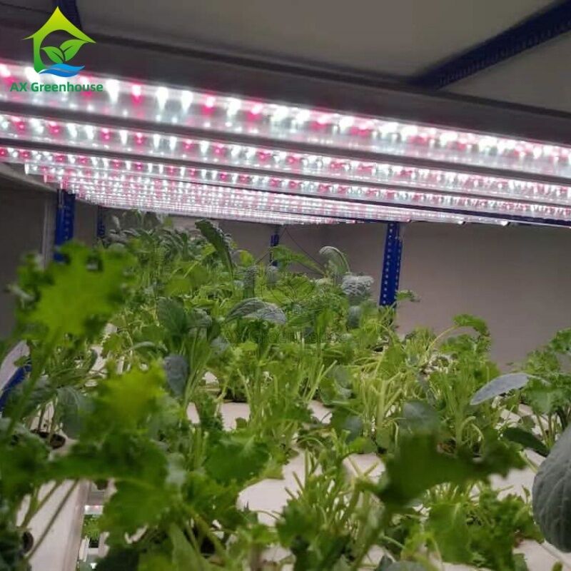 토양 없는 재배를 위한 통합 LED 조명 시스템을 갖춘 자동화된 다층 수직 NFT 수경재배 시스템